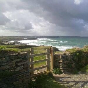 Meet your Posher, Sam